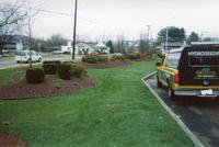 Cumberland Farms L scaping