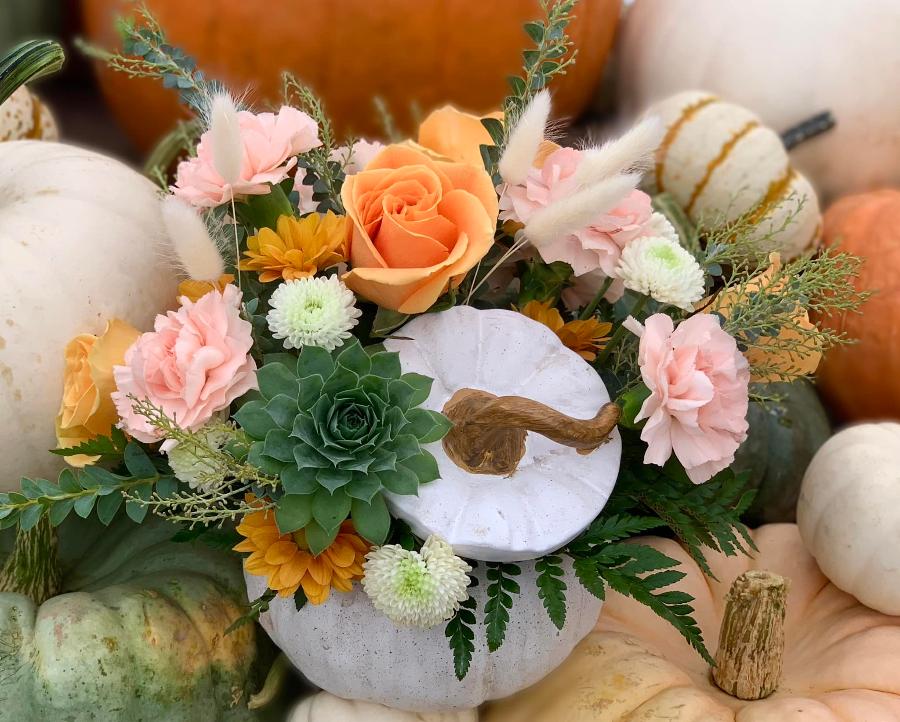 Enchanted Pumpkin Vase with Succulent